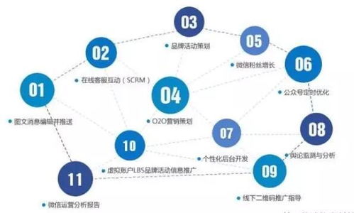 网络营销竞争原则分析 驱动网络销售增长的核心策略